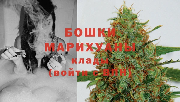 мдпв Михайлов