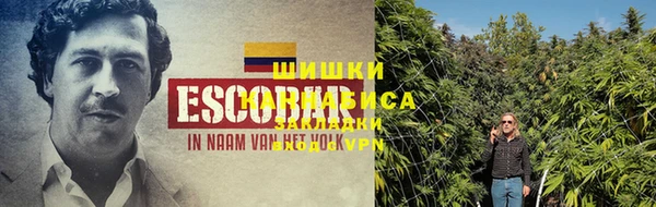 ECSTASY Михайловка
