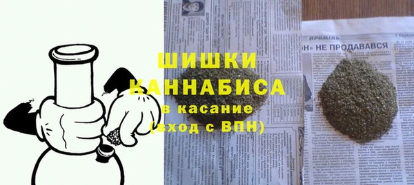 мдпв Михайлов